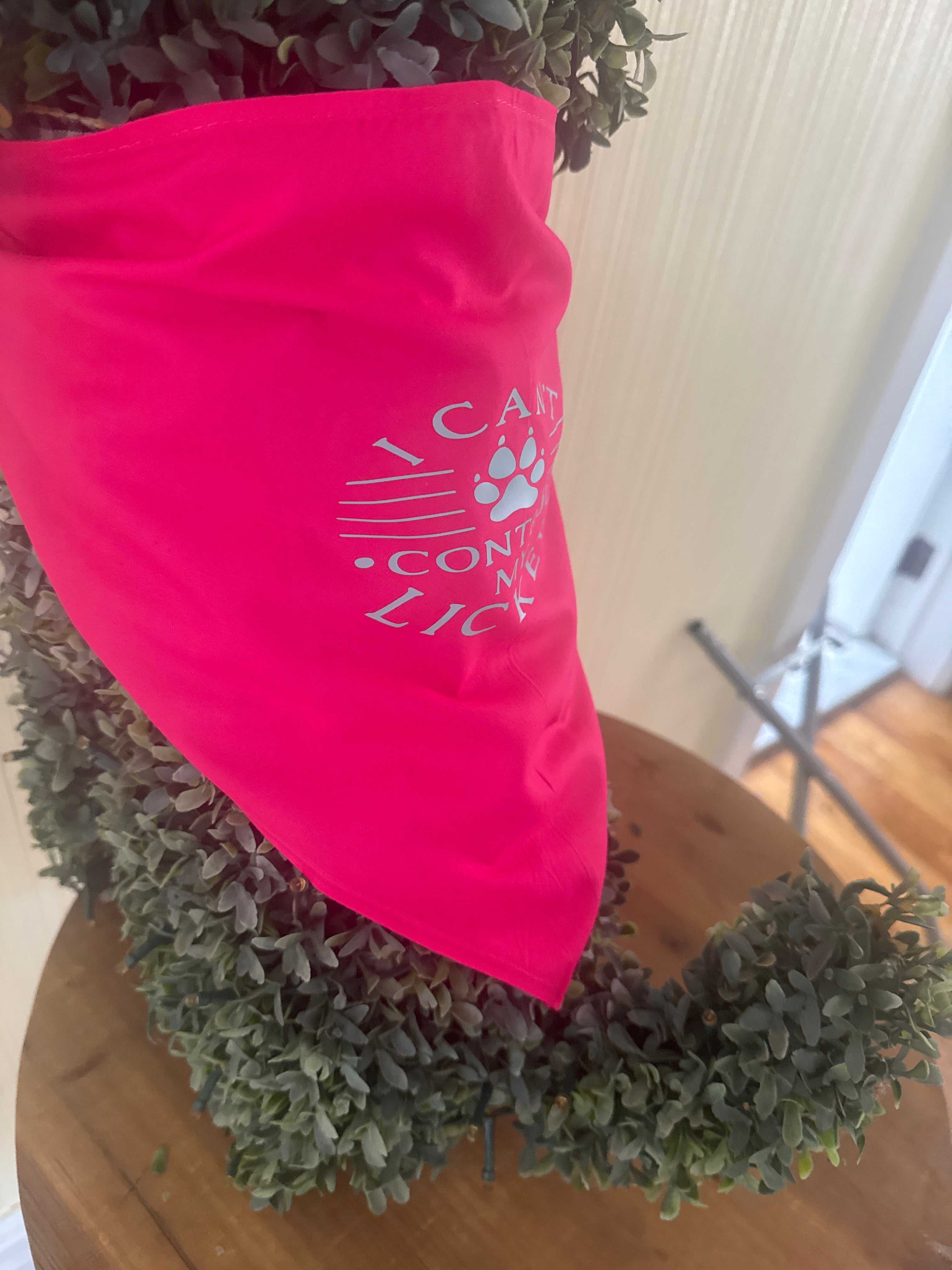 Dog bandana